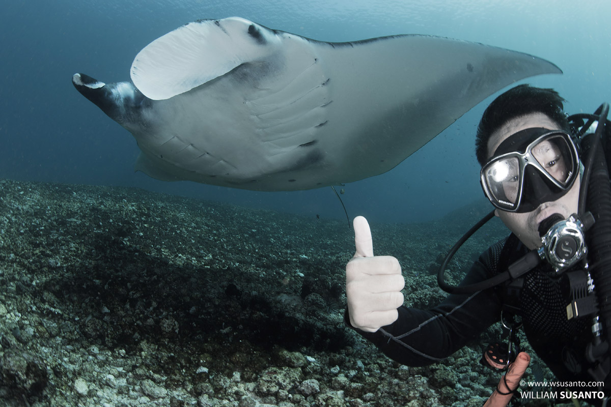 Selfie with Manta