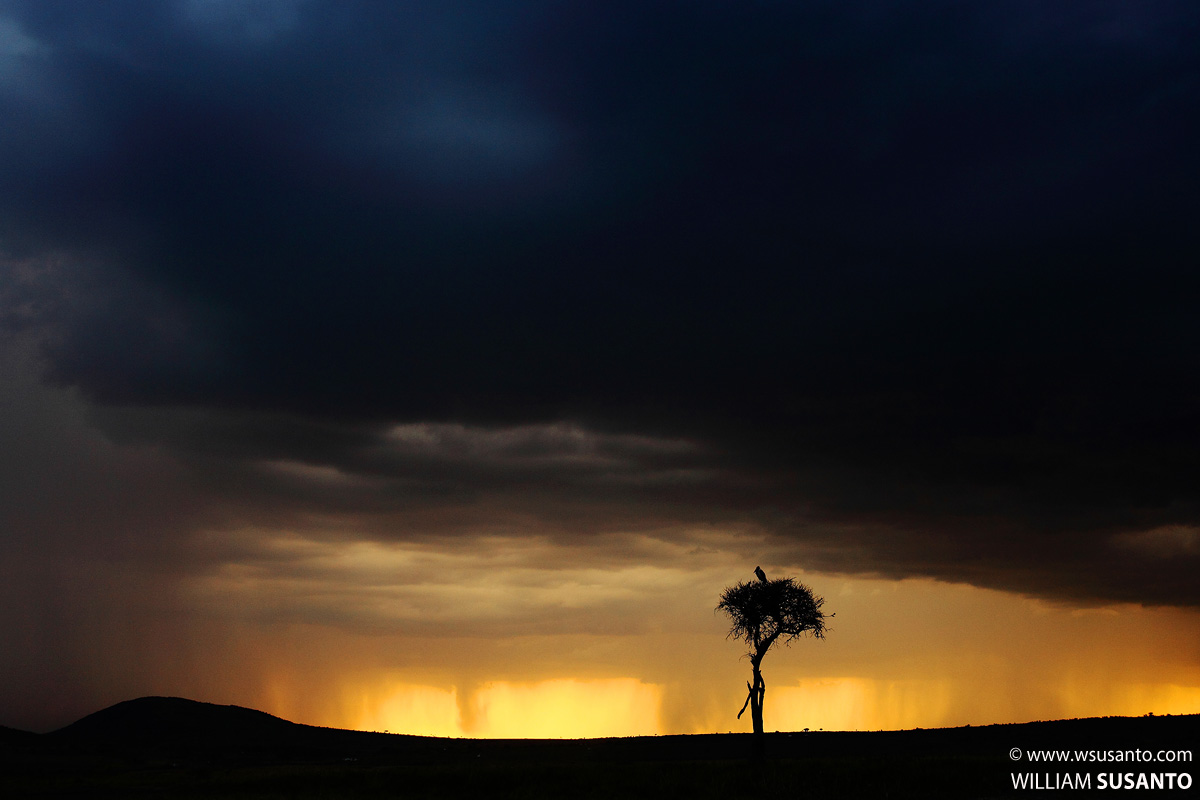 Storm Incoming