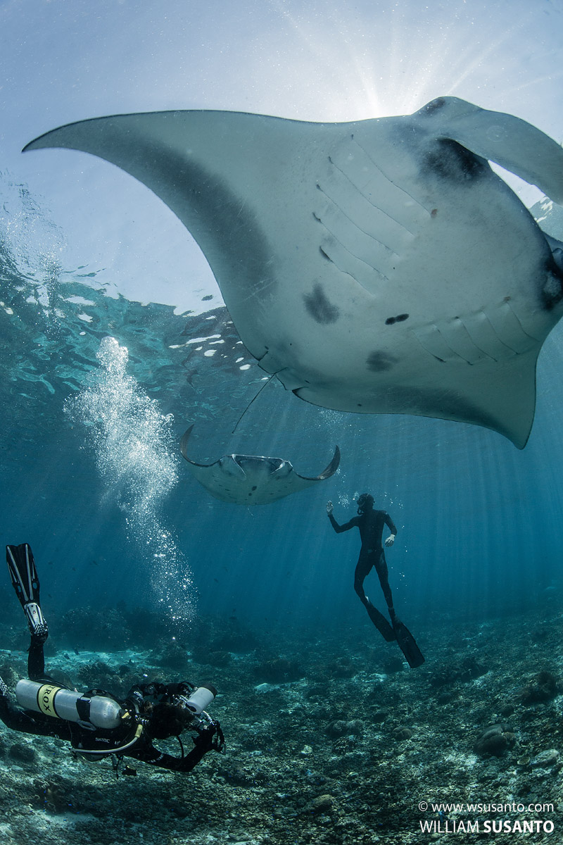 Matt Goulding & Corrine Bourbeillon